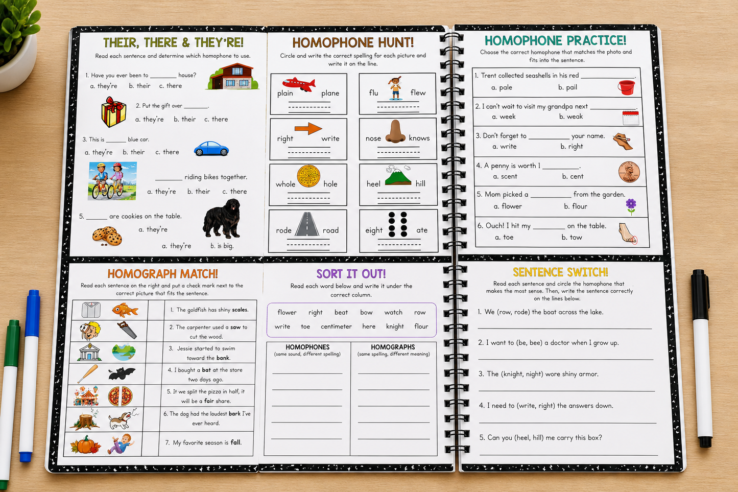 Homographs & Homophones Workbook