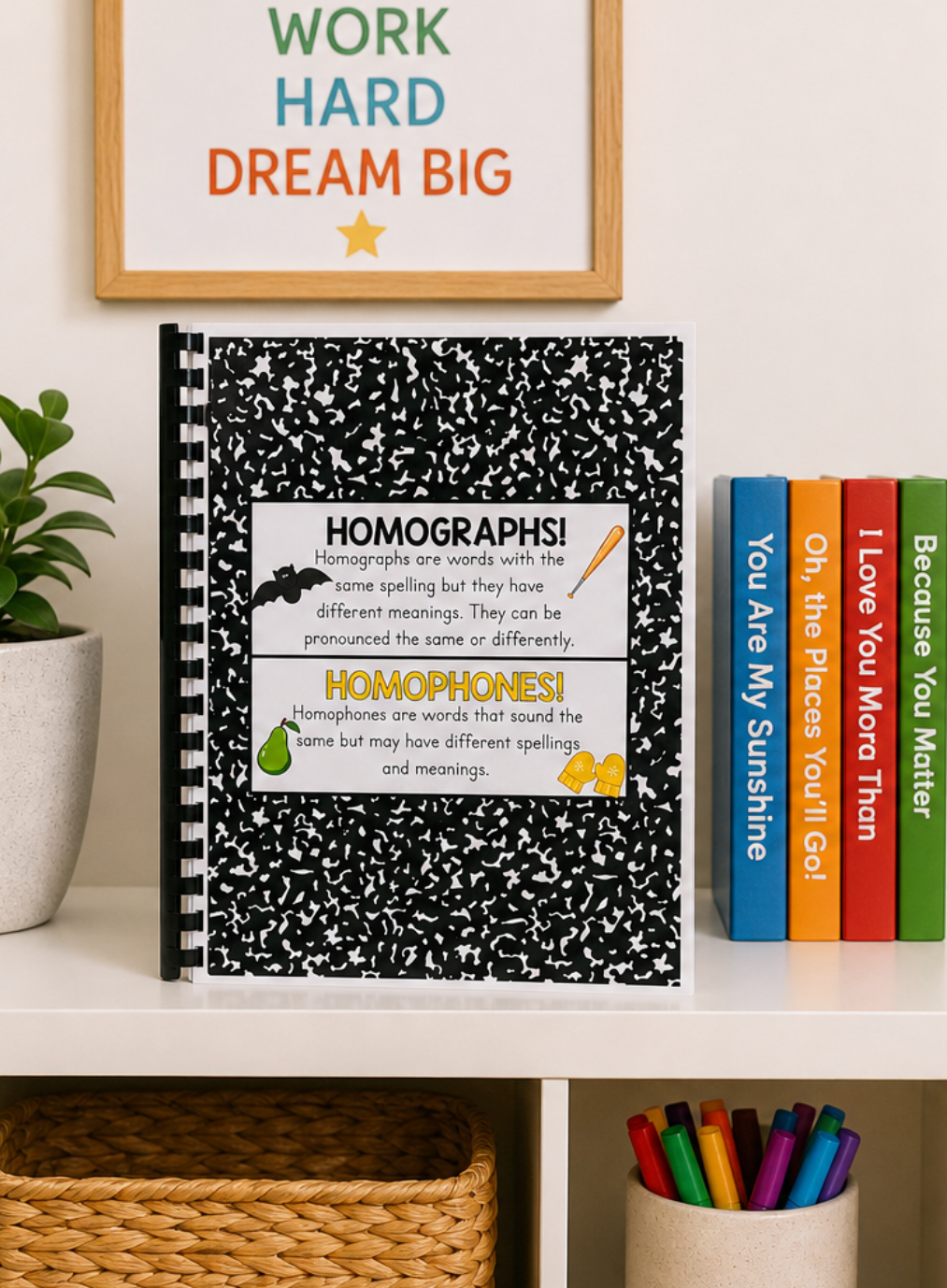 Homographs & Homophones Workbook